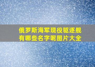 俄罗斯海军现役驱逐舰有哪些名字呢图片大全