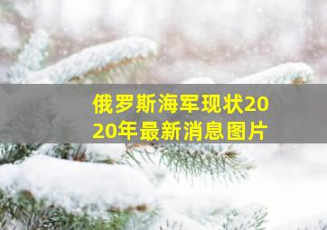 俄罗斯海军现状2020年最新消息图片