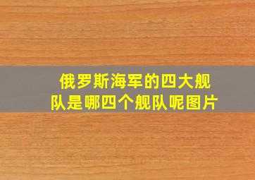 俄罗斯海军的四大舰队是哪四个舰队呢图片