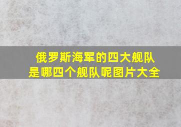 俄罗斯海军的四大舰队是哪四个舰队呢图片大全