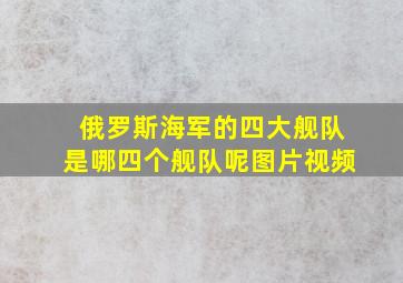 俄罗斯海军的四大舰队是哪四个舰队呢图片视频