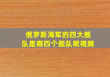 俄罗斯海军的四大舰队是哪四个舰队呢视频