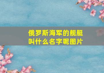 俄罗斯海军的舰艇叫什么名字呢图片