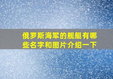 俄罗斯海军的舰艇有哪些名字和图片介绍一下