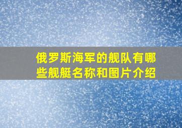 俄罗斯海军的舰队有哪些舰艇名称和图片介绍