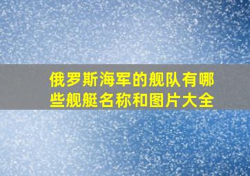 俄罗斯海军的舰队有哪些舰艇名称和图片大全