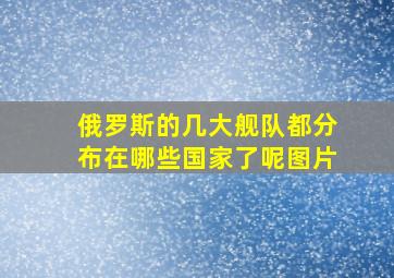 俄罗斯的几大舰队都分布在哪些国家了呢图片