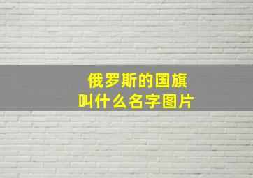 俄罗斯的国旗叫什么名字图片