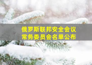 俄罗斯联邦安全会议常务委员会名单公布