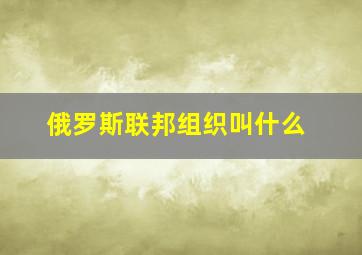 俄罗斯联邦组织叫什么