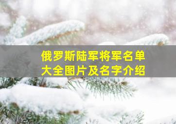 俄罗斯陆军将军名单大全图片及名字介绍