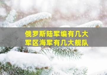 俄罗斯陆军编有几大军区海军有几大舰队