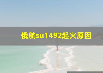 俄航su1492起火原因