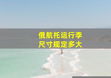 俄航托运行李尺寸规定多大