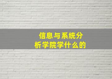 信息与系统分析学院学什么的