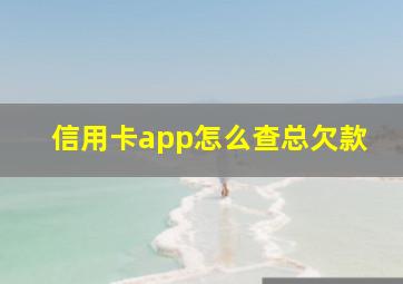 信用卡app怎么查总欠款