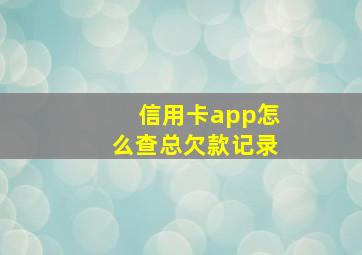 信用卡app怎么查总欠款记录