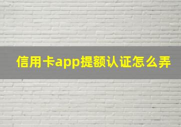 信用卡app提额认证怎么弄