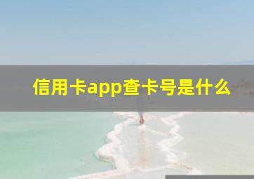 信用卡app查卡号是什么