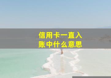 信用卡一直入账中什么意思