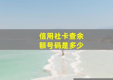 信用社卡查余额号码是多少