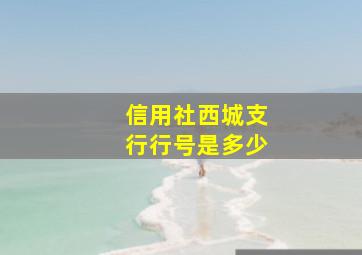 信用社西城支行行号是多少