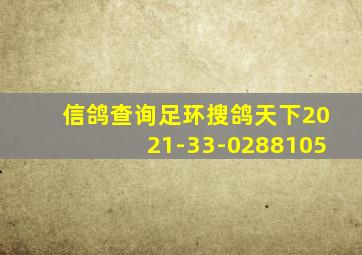 信鸽查询足环搜鸽天下2021-33-0288105