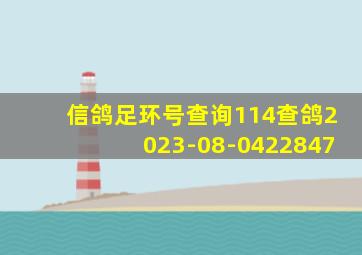 信鸽足环号查询114查鸽2023-08-0422847