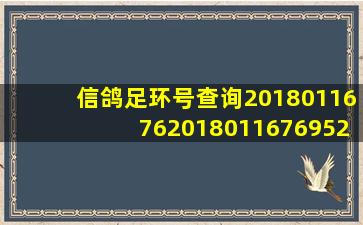 信鸽足环号查询20180116762018011676952