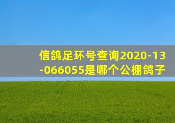 信鸽足环号查询2020-13-066055是哪个公棚鸽子