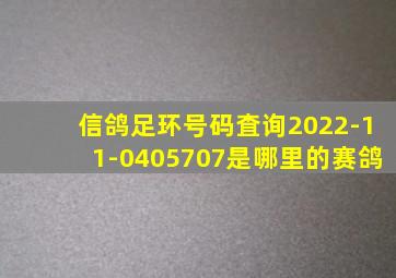 信鸽足环号码査询2022-11-0405707是哪里的赛鸽