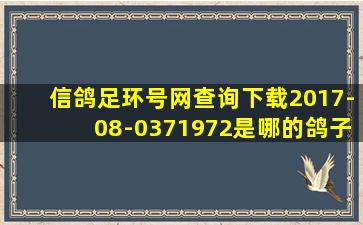 信鸽足环号网查询下载2017-08-0371972是哪的鸽子