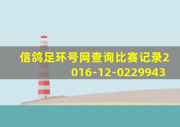 信鸽足环号网查询比赛记录2016-12-0229943