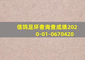 信鸽足环查询查成绩2020-01-0670420