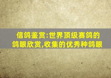 信鸽鉴赏:世界顶级赛鸽的鸽眼欣赏,收集的优秀种鸽眼