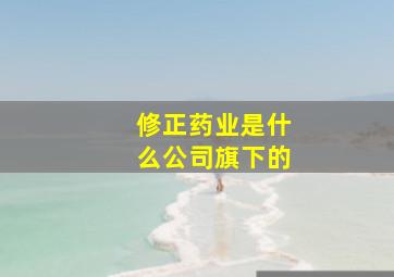 修正药业是什么公司旗下的