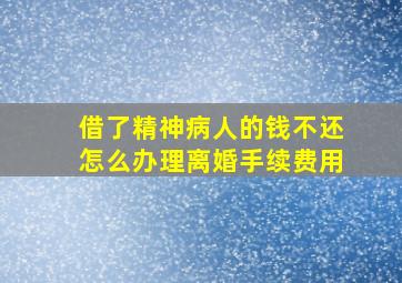 借了精神病人的钱不还怎么办理离婚手续费用