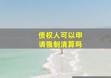 债权人可以申请强制清算吗