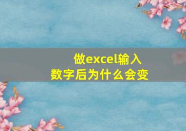 做excel输入数字后为什么会变