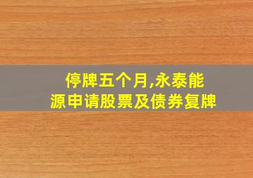 停牌五个月,永泰能源申请股票及债券复牌