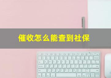 催收怎么能查到社保