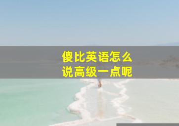 傻比英语怎么说高级一点呢