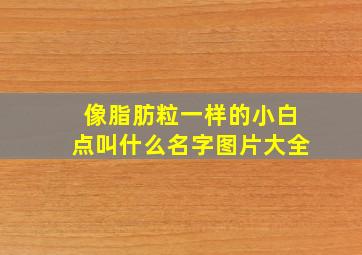 像脂肪粒一样的小白点叫什么名字图片大全