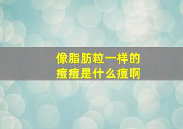 像脂肪粒一样的痘痘是什么痘啊