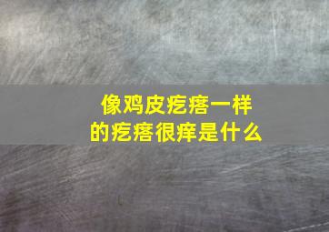 像鸡皮疙瘩一样的疙瘩很痒是什么