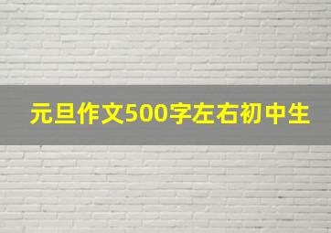 元旦作文500字左右初中生