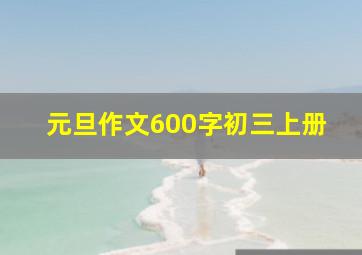 元旦作文600字初三上册