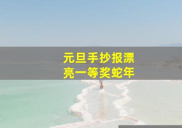 元旦手抄报漂亮一等奖蛇年