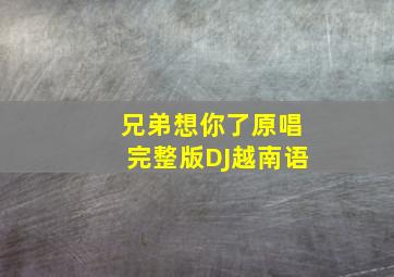 兄弟想你了原唱完整版DJ越南语