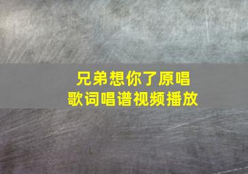 兄弟想你了原唱歌词唱谱视频播放